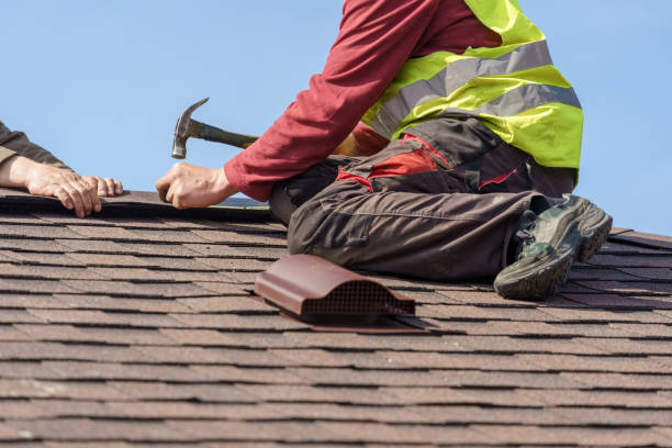 Best Residential Roofing Contractor  in La Homa, TX