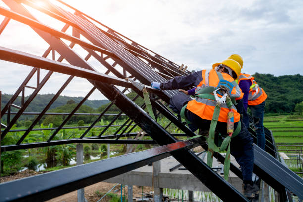 Best Roof Maintenance Services  in La Homa, TX