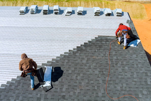 Best Flat Roof Repair Services  in La Homa, TX