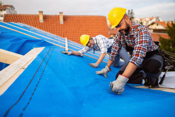 Best Residential Roofing Contractor  in La Homa, TX