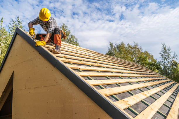 Best Metal Roofing Contractor  in La Homa, TX