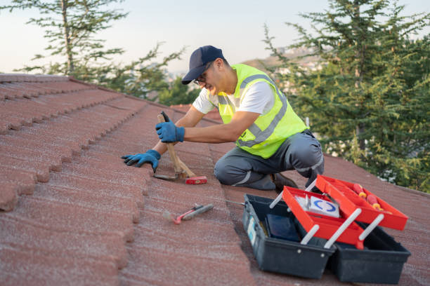 Best New Roof Installation  in La Homa, TX