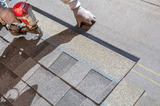Best Roof Replacement Cost  in La Homa, TX