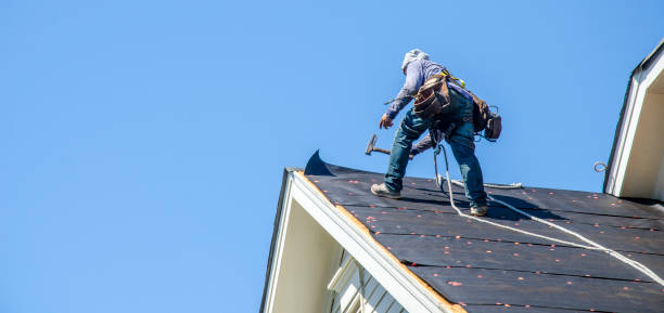 Best Roof Inspection Near Me  in La Homa, TX